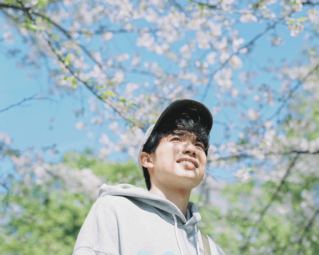 満開の桜を見上げるキャップ姿の男性。