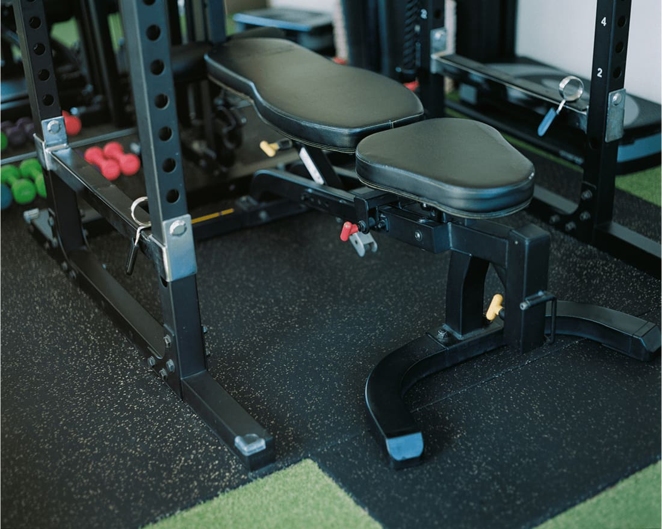 ジムに設置されたトレーニングベンチと器具。床にはダンベルも並んでいる。