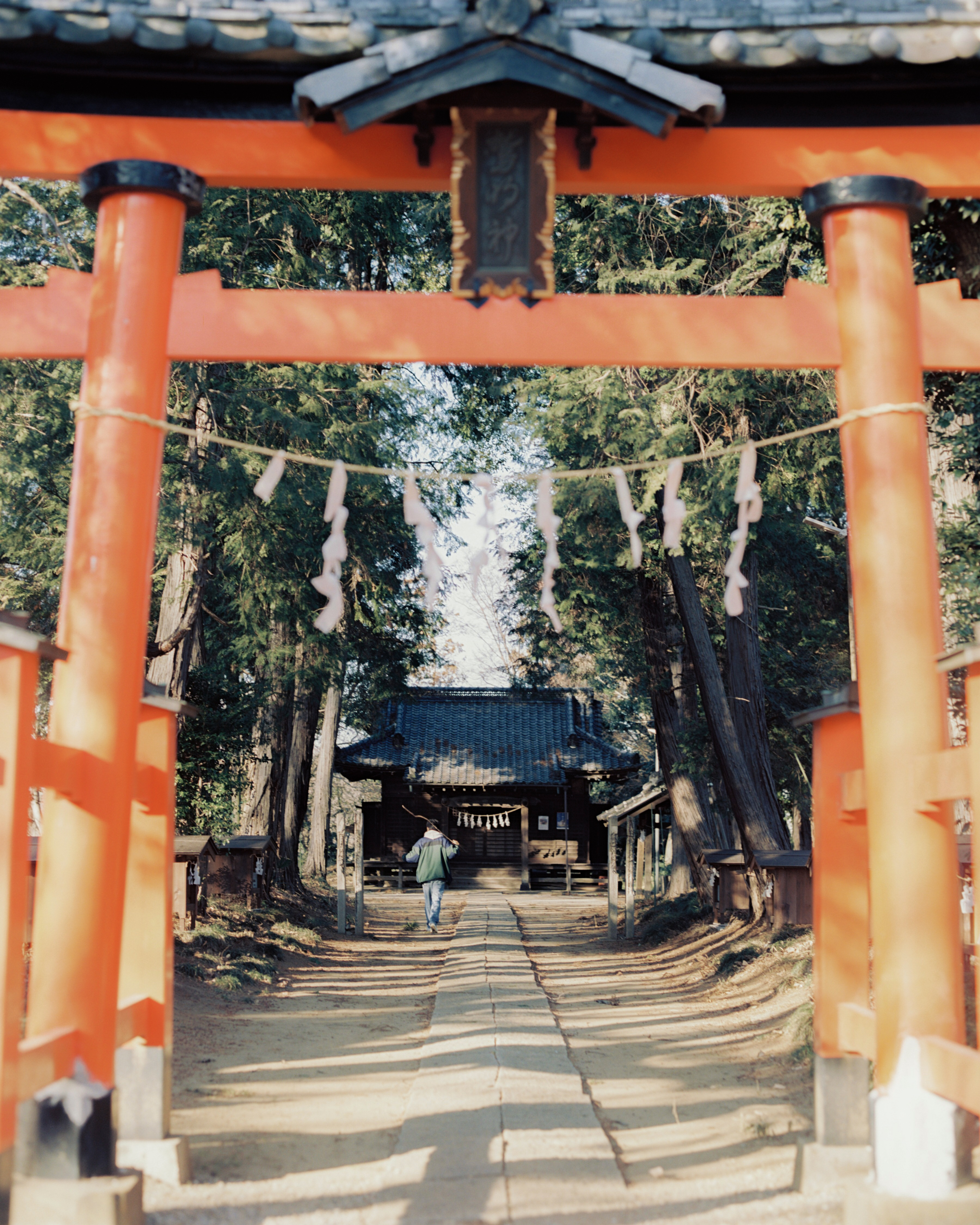鳥居の前を歩く男性。