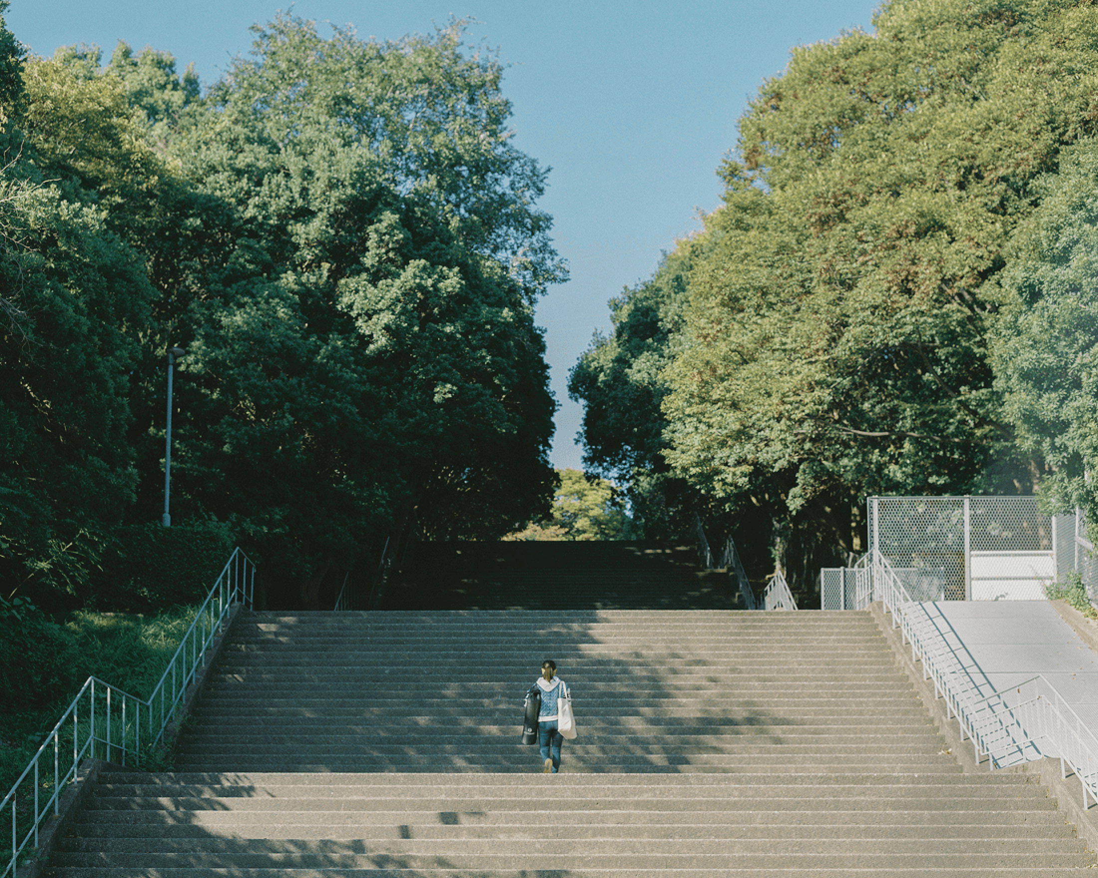 緑に囲まれた階段を登る宮原知子